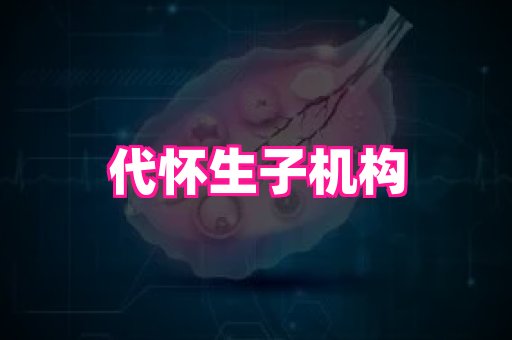 gfg孕网 2