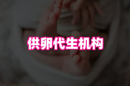 gfg孕网 3