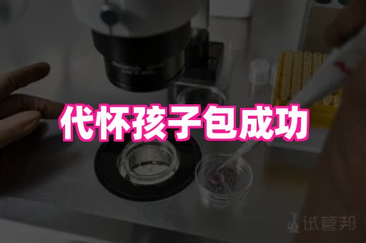 gfg孕网 4